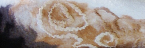 Detail image of hand felted fashion wrap